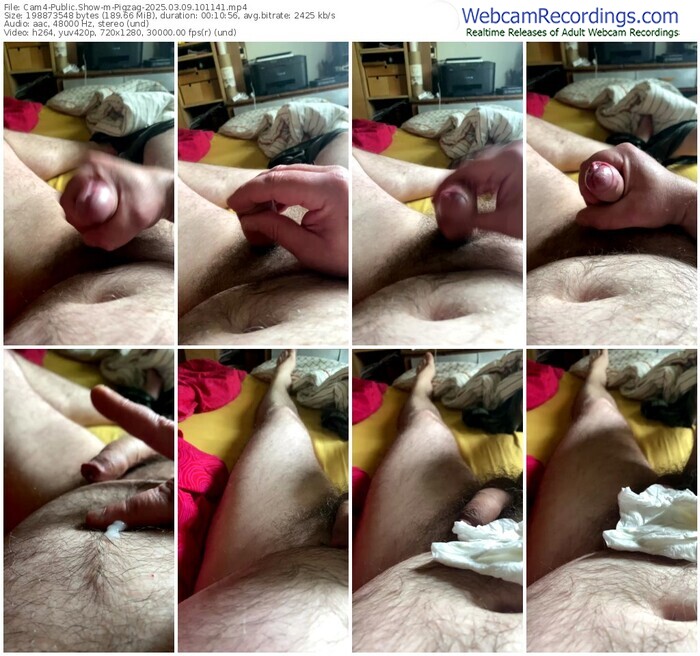 cam4-pigzag-03-09-2025-10-11-41