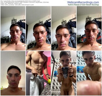 cam4-dandolatoda-03-11-2025-15-34-51