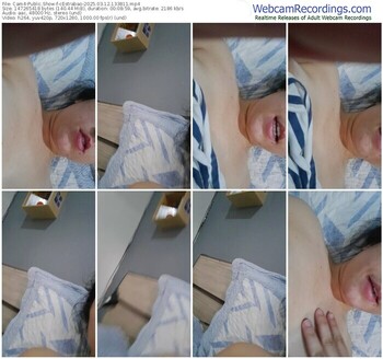 cam4-cestrabao-03-12-2025-13-38-11