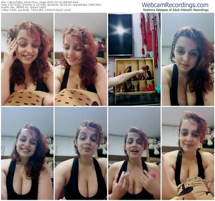 cam4-yve_zveel-03-13-2025-18-44-45