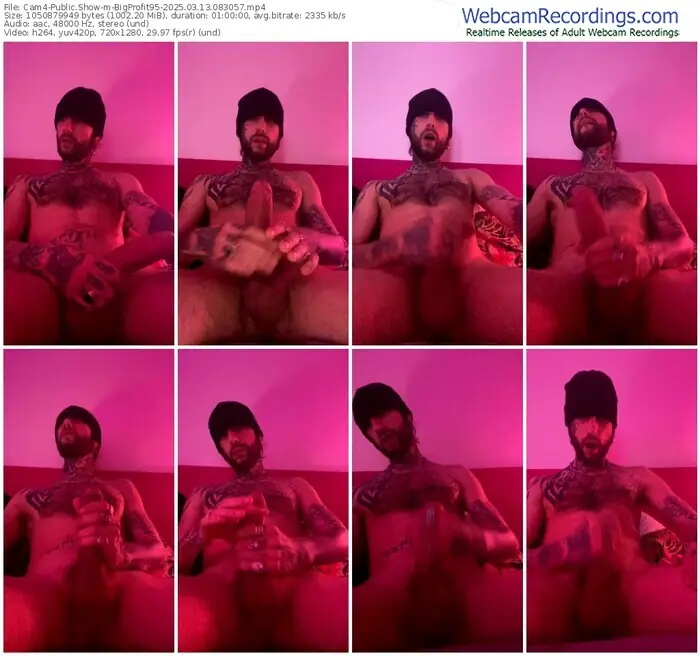 cam4-bigprofit95-03-13-2025-08-30-57