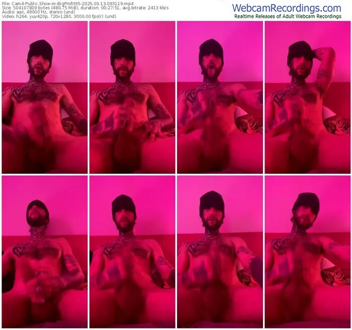 cam4-bigprofit95-03-13-2025-09-31-19