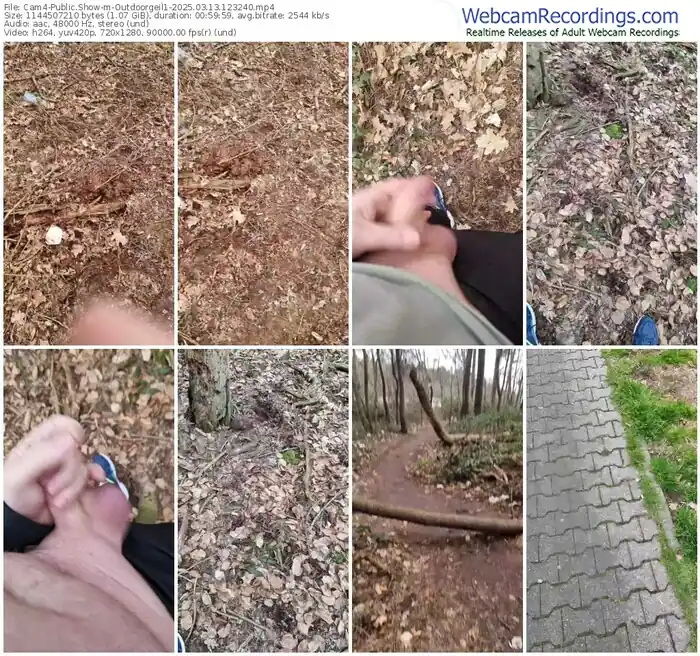 cam4-outdoorgeil1-03-13-2025-12-32-40