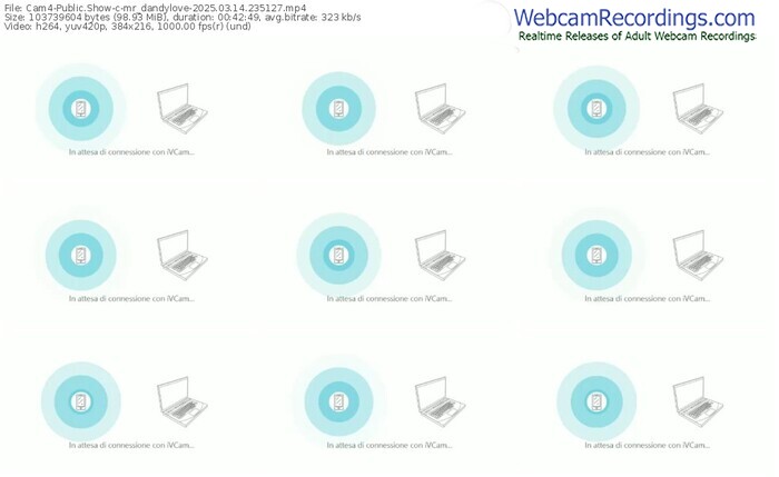 cam4-mr_dandylove-03-14-2025-23-51-27