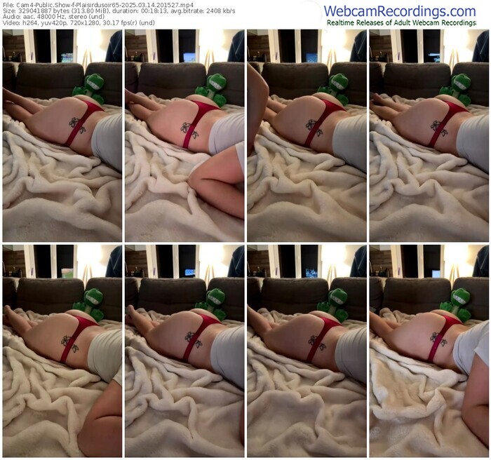 cam4-plaisirdusoir65-03-14-2025-20-15-27