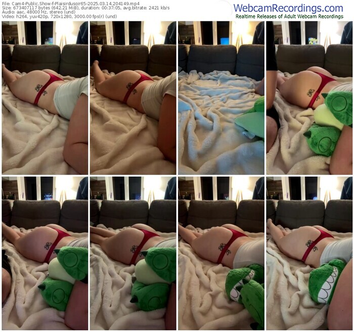cam4-plaisirdusoir65-03-14-2025-20-41-49