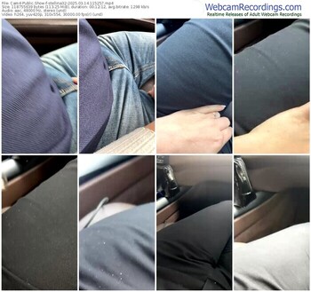 cam4-stellina32-03-14-2025-11-52-57