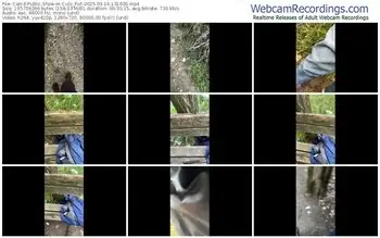 cam4-culo_fist-03-14-2025-13-16-05