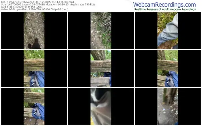 cam4-culo_fist-03-14-2025-13-16-05