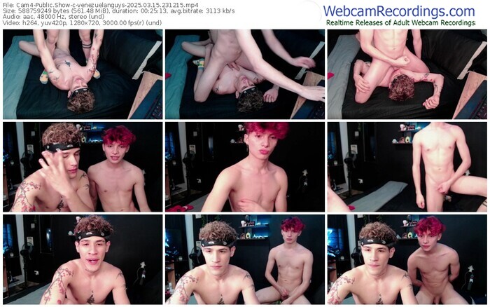 cam4-venezuelanguys-03-15-2025-23-12-15