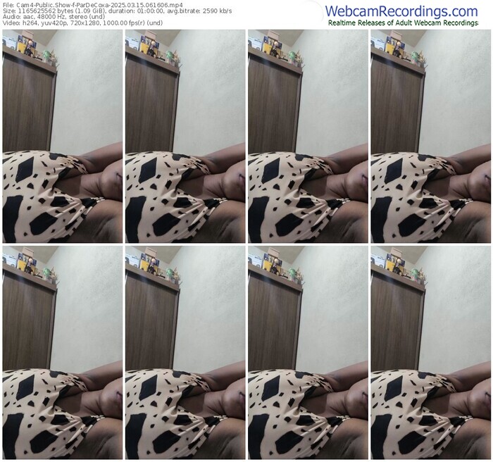 cam4-pardecoxa-03-15-2025-06-16-06