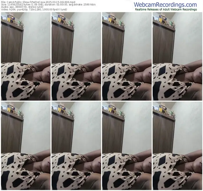 cam4-pardecoxa-03-15-2025-06-16-06