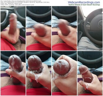 cam4-dotadoszuber-03-15-2025-20-04-10