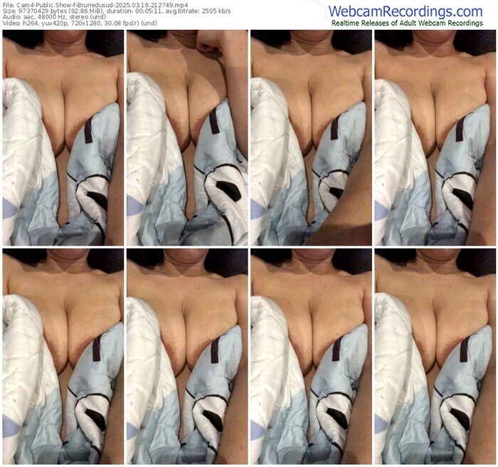 cam4-brunedusud-03-16-2025-21-27-49