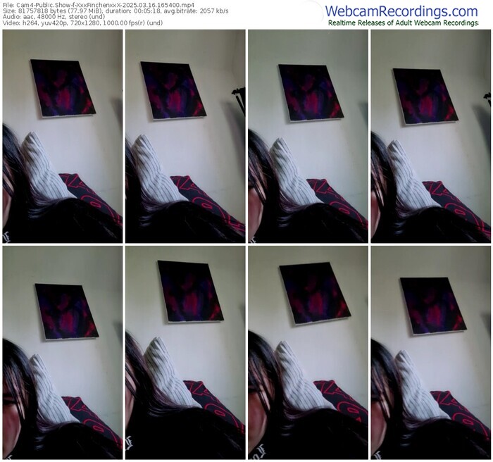 cam4-xxxfinchenxxx-03-16-2025-16-54-00