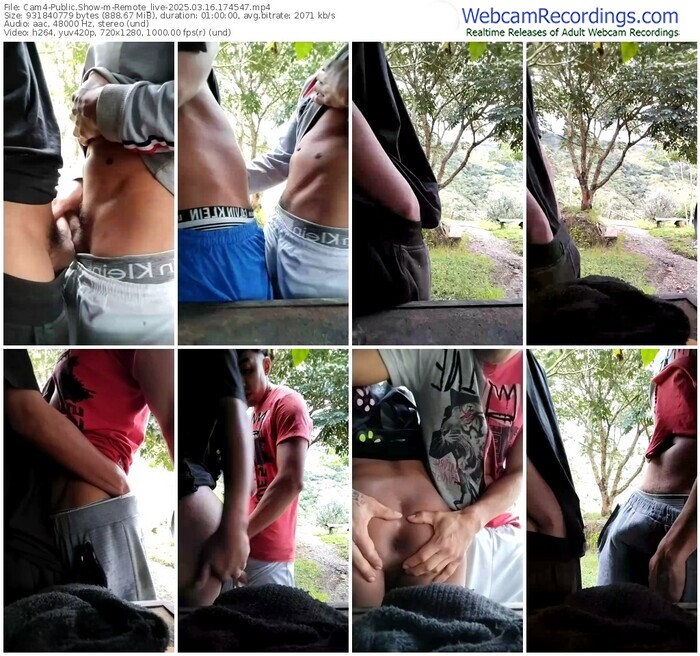 cam4-remote_live-03-16-2025-17-45-47