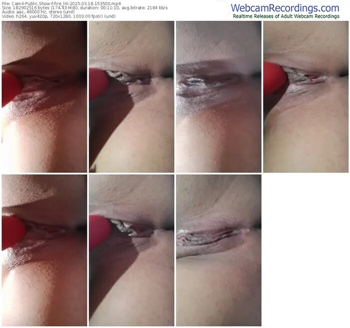 cam4-fire_lili-03-18-2025-15-35-00