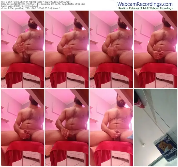 cam4-alphabrasil87-03-18-2025-12-38-50