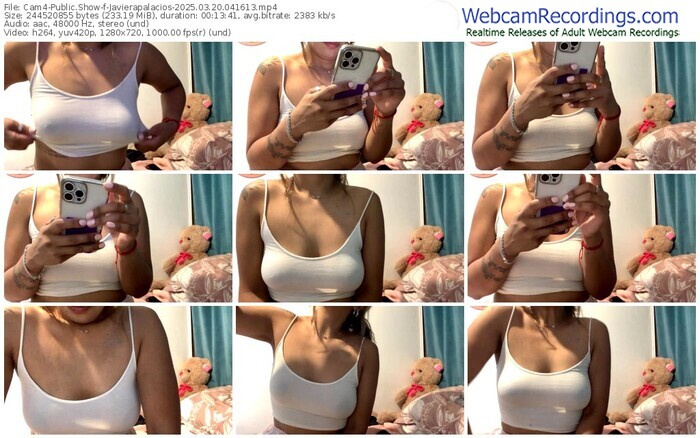 cam4-javierapalacios-03-20-2025-04-16-13