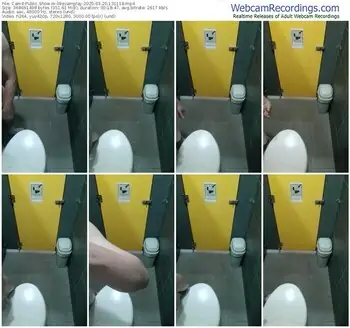 cam4-likecamplay-03-20-2025-13-11-18