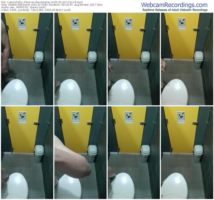 cam4-likecamplay-03-20-2025-13-11-18