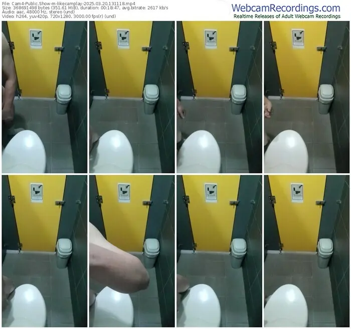 cam4-likecamplay-03-20-2025-13-11-18