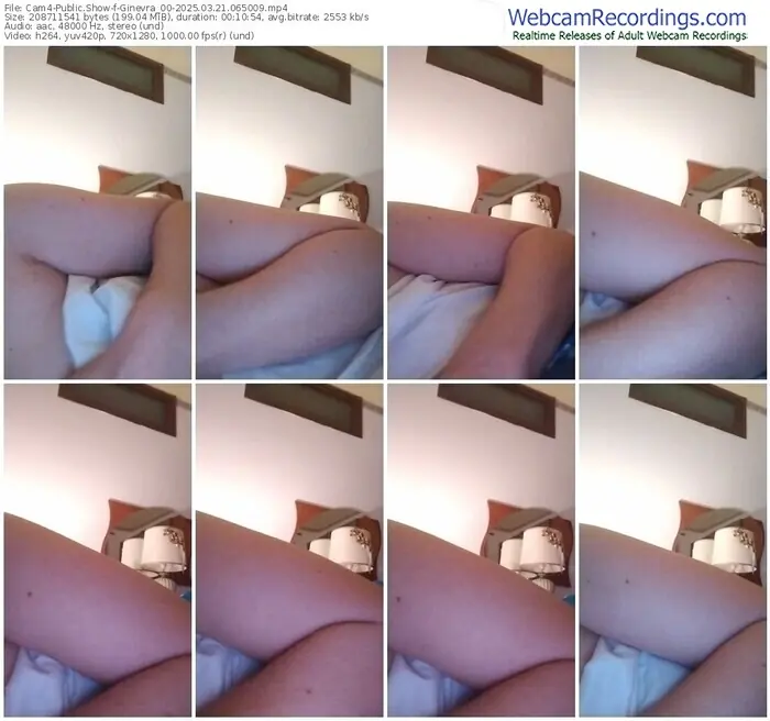 cam4-ginevra_00-03-21-2025-06-50-09