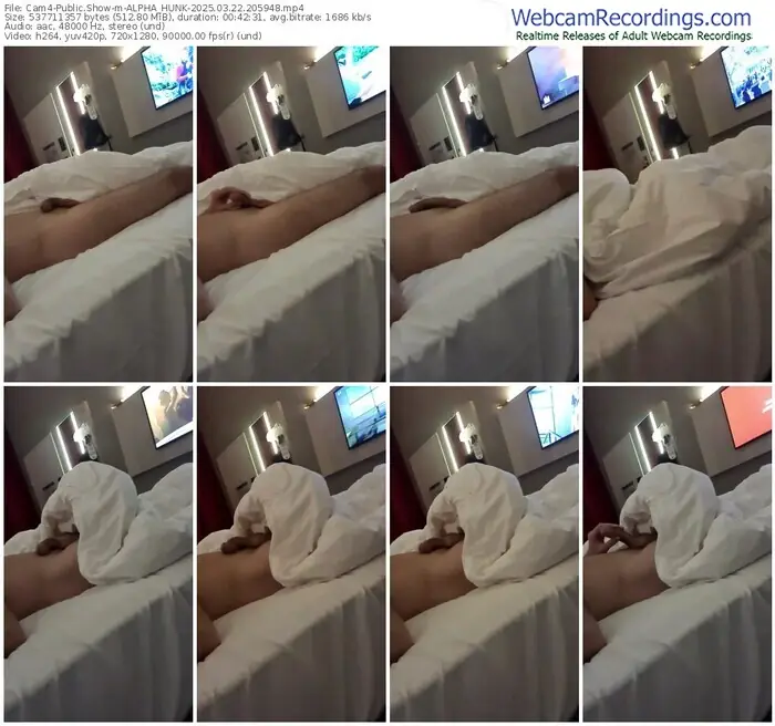 cam4-alpha_hunk-03-22-2025-20-59-48