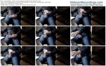 cam4-fenicerossa-03-22-2025-16-12-56