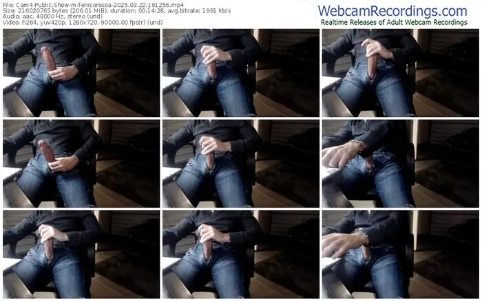 cam4-fenicerossa-03-22-2025-16-12-56