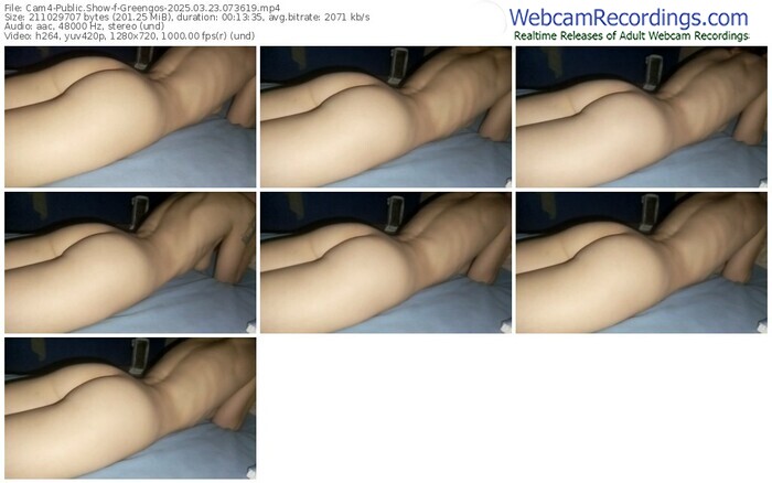 cam4-greengos-03-23-2025-07-36-19