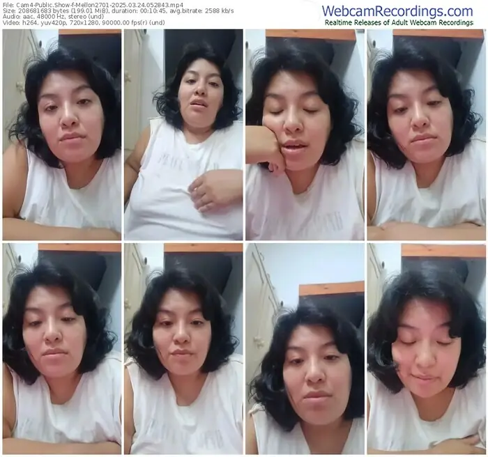 cam4-mellon2701-03-24-2025-05-28-43