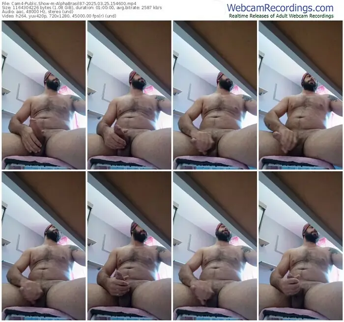 cam4-alphabrasil87-03-25-2025-15-46-00