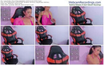 cam4-pamelaaddams-03-26-2025-07-30-13