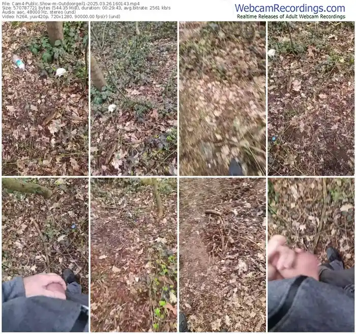 cam4-outdoorgeil1-03-26-2025-16-01-43