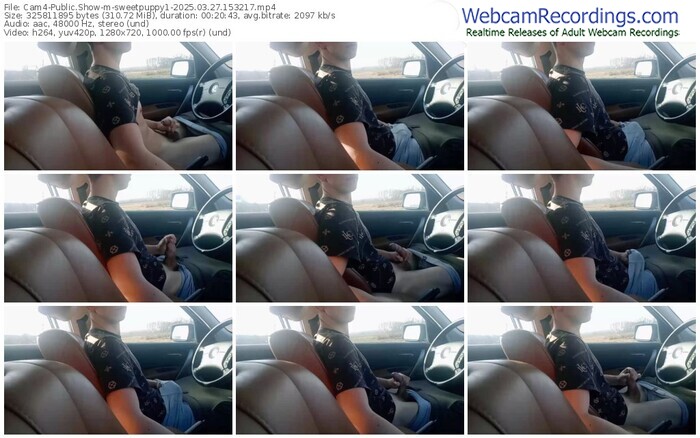cam4-sweetpuppy1-03-27-2025-15-32-17
