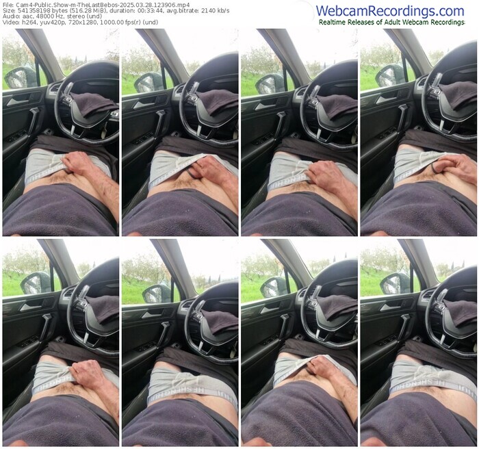 cam4-thelastbebos-03-28-2025-12-39-06