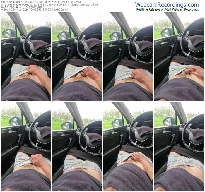 cam4-thelastbebos-03-28-2025-12-39-06