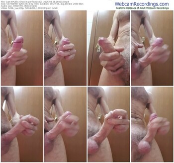 cam4-perfectdick21-03-28-2025-16-00-32