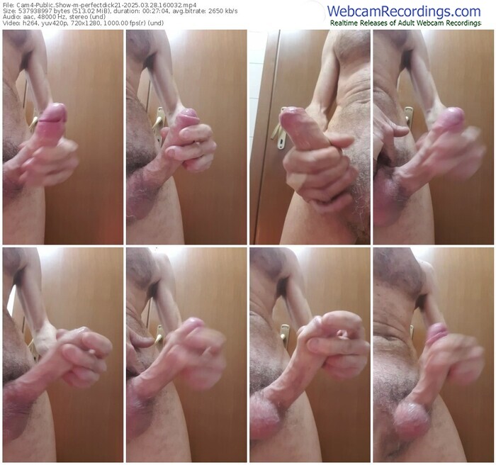 cam4-perfectdick21-03-28-2025-16-00-32