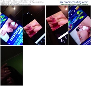 cam4-franch_xxx-03-29-2025-00-41-16