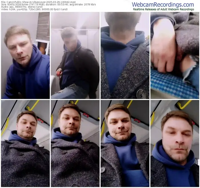 cam4-vibeslover-03-29-2025-10-09-42