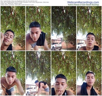 cam4-skasttiel-03-30-2025-13-21-54