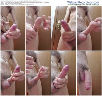 cam4-perfectdick21-03-30-2025-08-07-37
