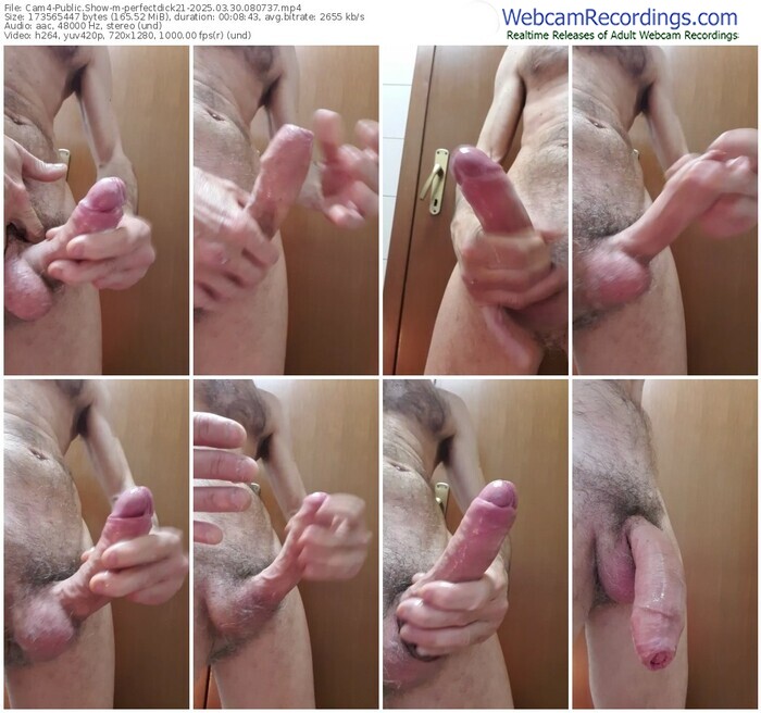 cam4-perfectdick21-03-30-2025-08-07-37