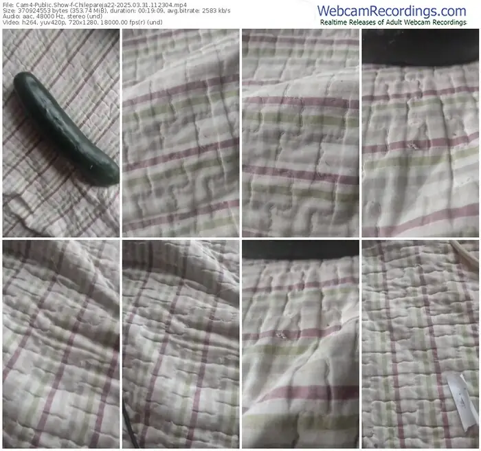 cam4-chilepareja22-03-31-2025-11-23-04