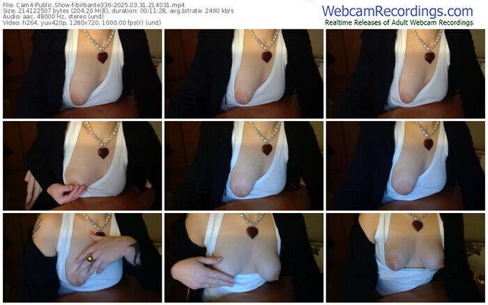 cam4-birbante336-03-31-2025-21-40-31