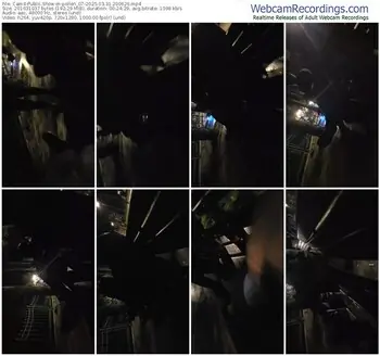 cam4-pollen_07-03-31-2025-20-06-26