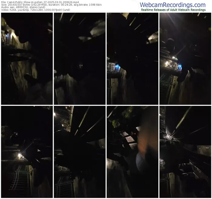 cam4-pollen_07-03-31-2025-20-06-26