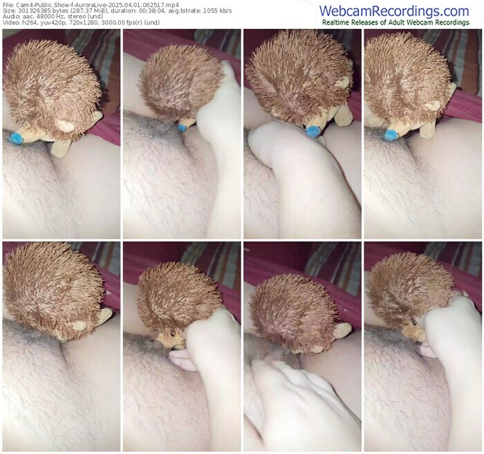 cam4-auroralive-04-01-2025-06-25-17